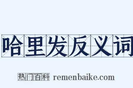 哈里发反义词是什么意思的图片